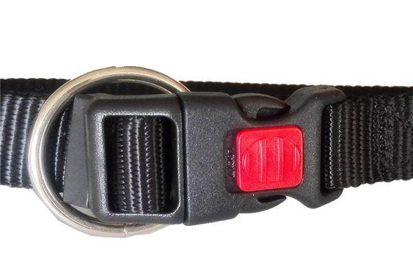 Quick Release Dog Collar