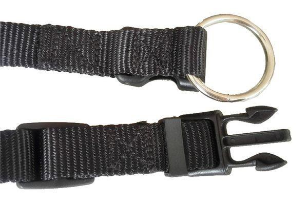 Quick Release Dog Collar