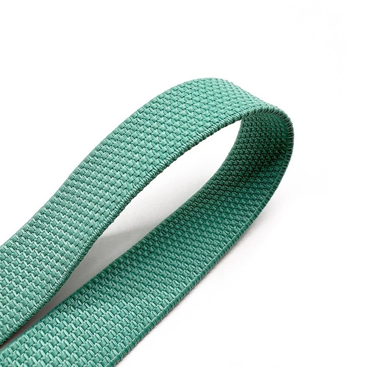 25mm elastic webbing